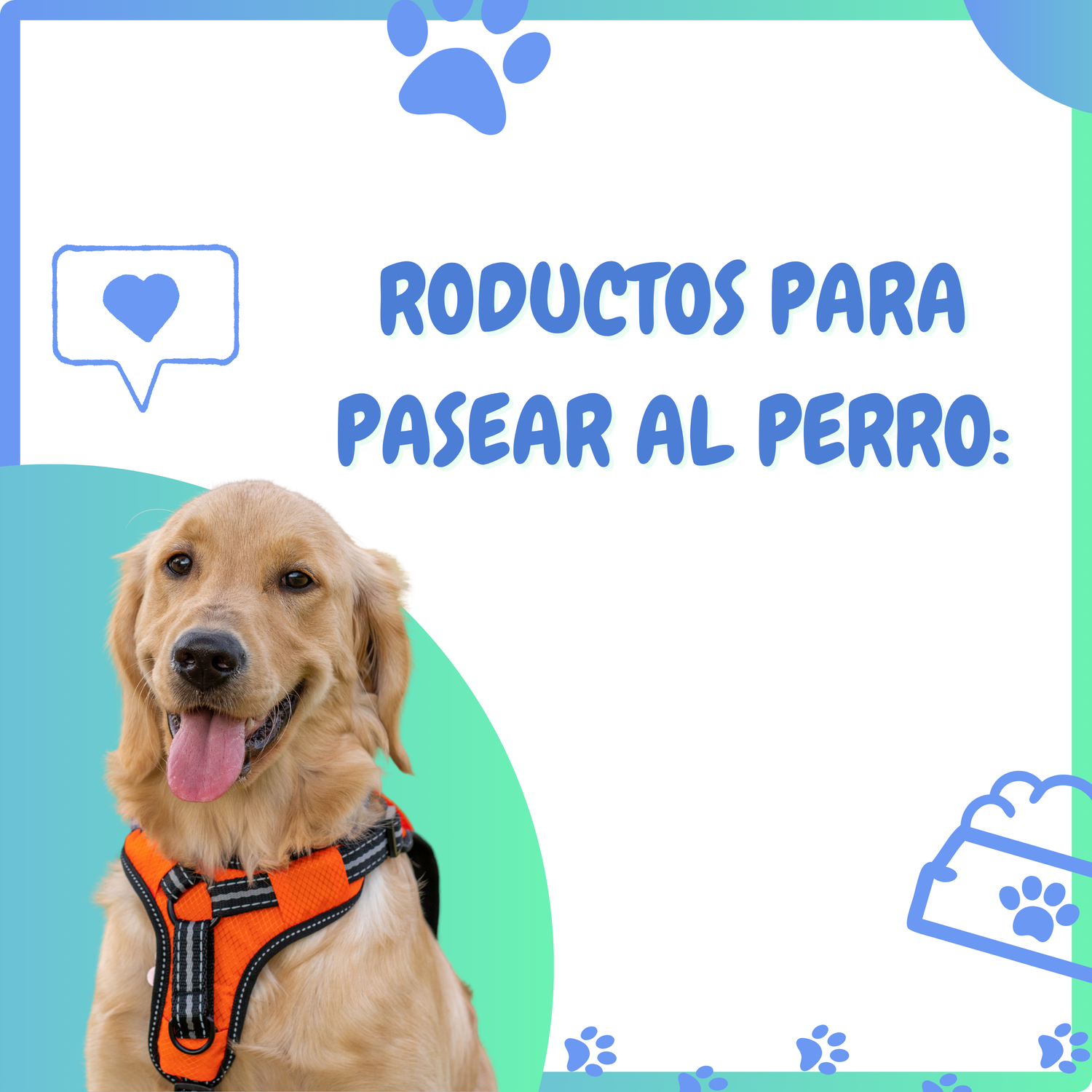 Productos para pasear al perro